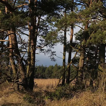 Ostseesonne 公寓
